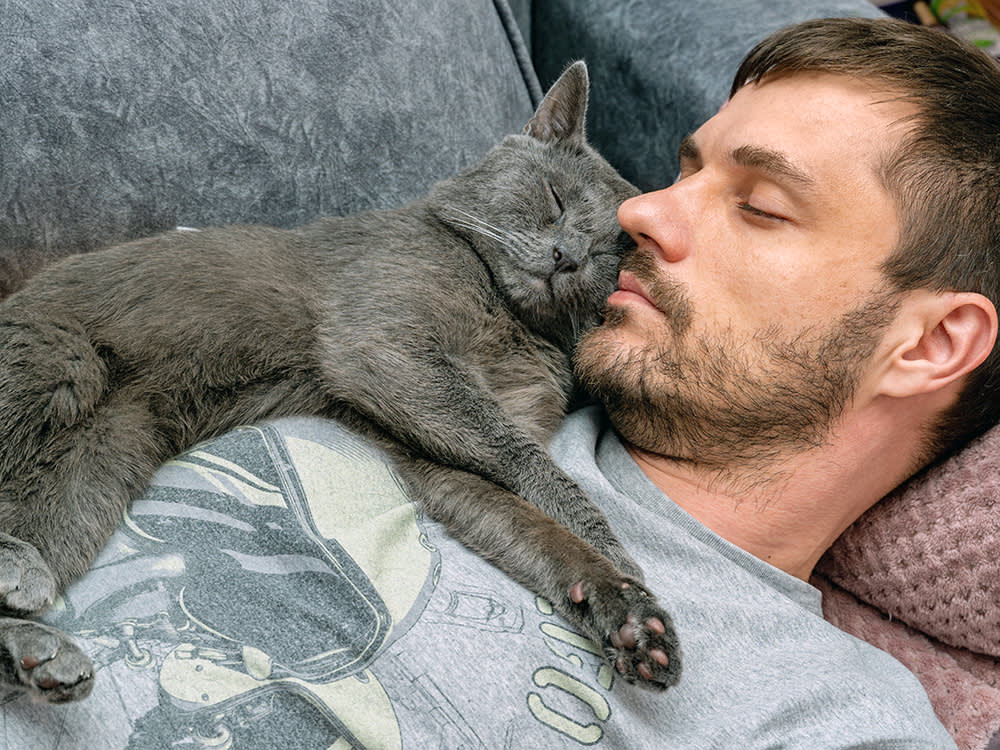 Your Cat Isn't Trying to Cuddle. They're Doing Math.