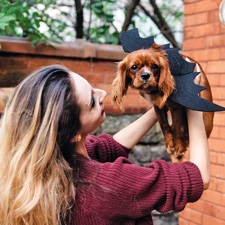 Your Dog Is Dreading Halloween. 8 Reasons Why (and How to Help)