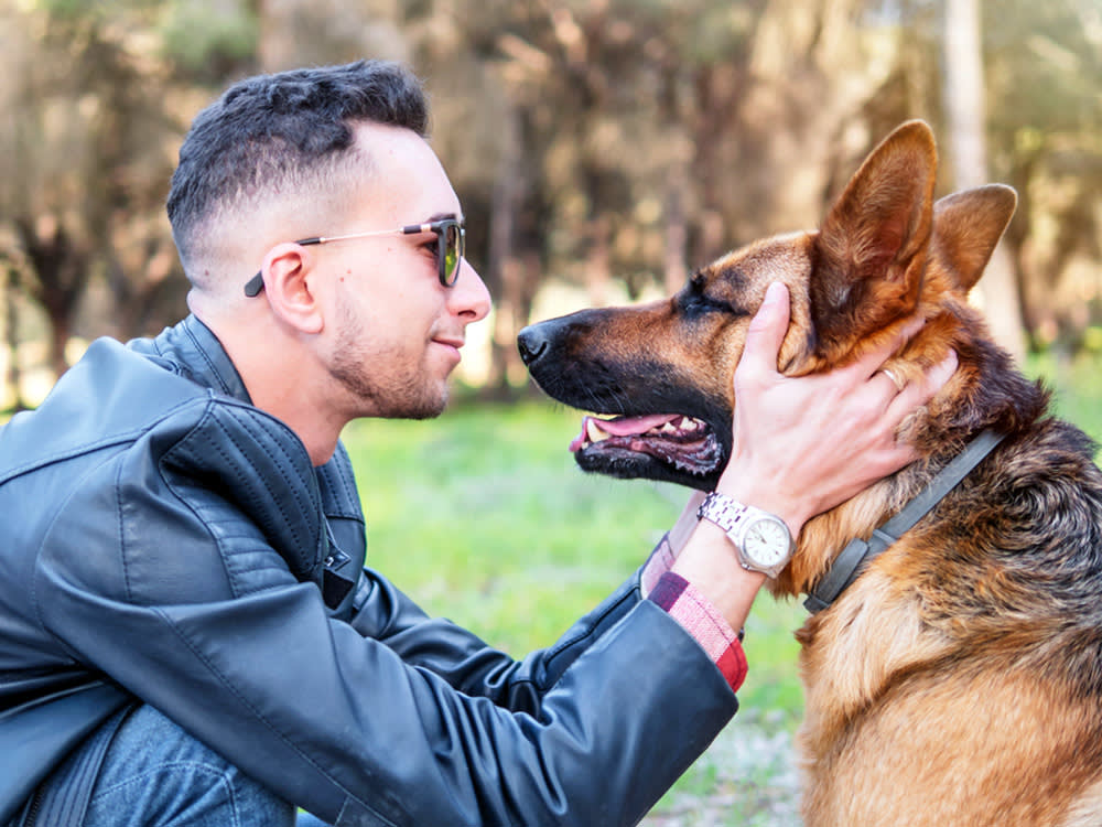 Your Dog Picked the Person Who Ignores It. Here's Why.