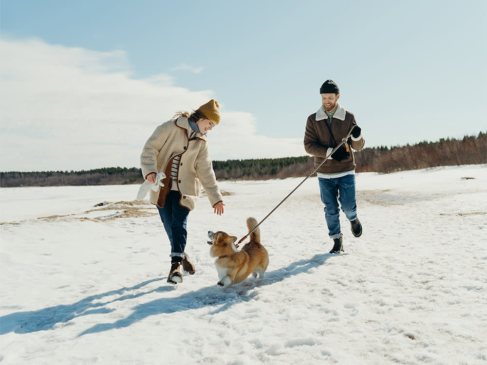 Your Dog Can Love Winter. You're Just Sending Them Out Wrong.