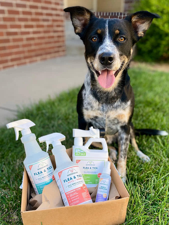 'Pet-Safe' Bug Spray Isn't Pet Spray. Read That Before You Buy.