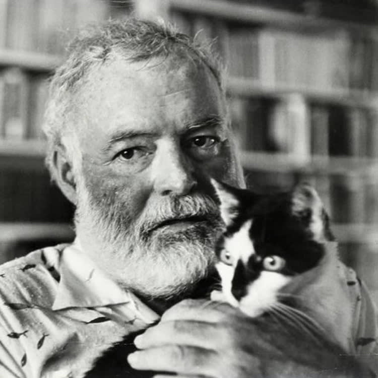9 Legendary Writers Who Couldn't Work Without a Cat