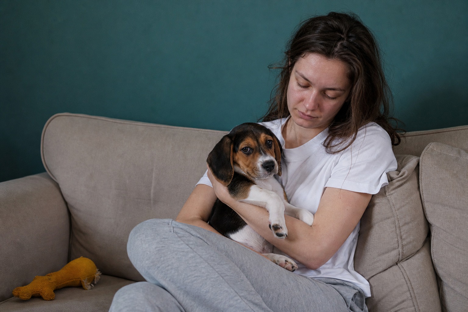 Half of New Puppy Owners Feel Terrible. The Research Says When It Stops.