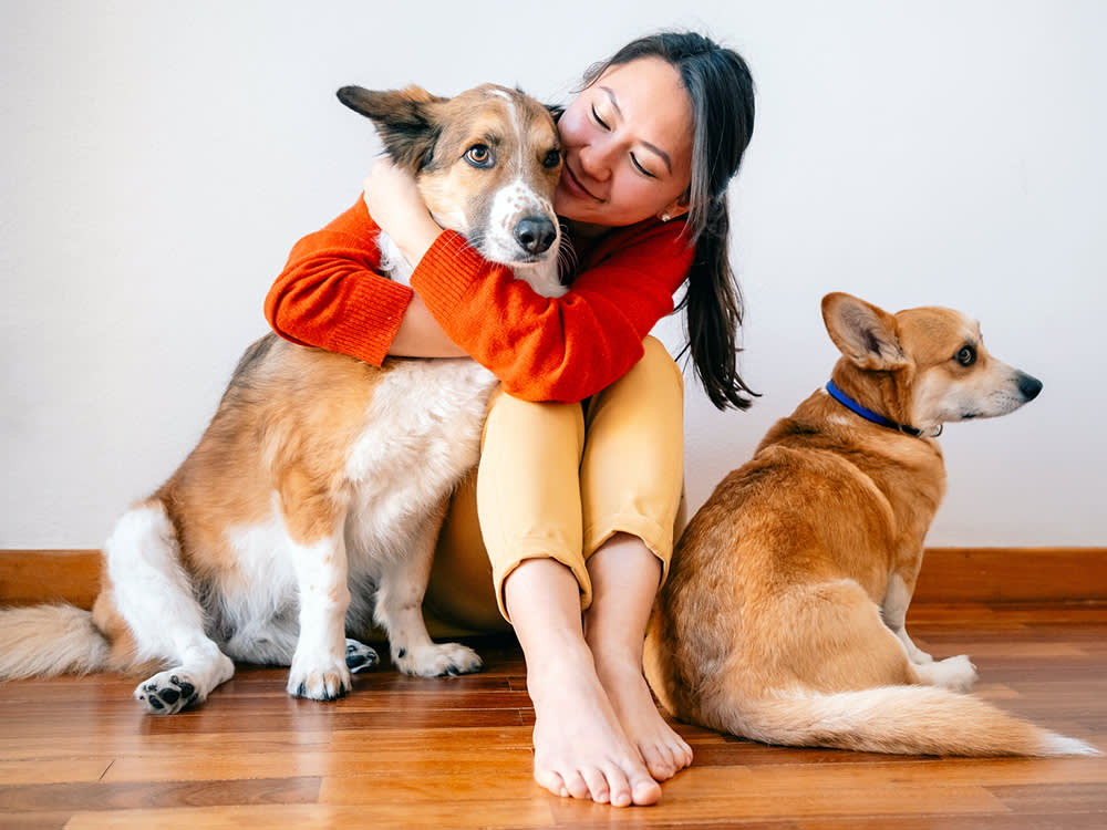 Your Dog Is Not Your Therapist