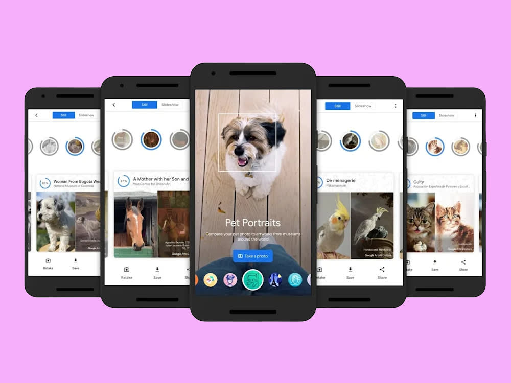 Somewhere in a Museum Hangs Your Cat's 400-Year-Old Twin. This Free App Finds It.