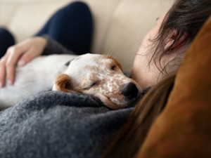 Your Pet Interrupting You Isn't Rude. It's a Wellbeing Nudge.